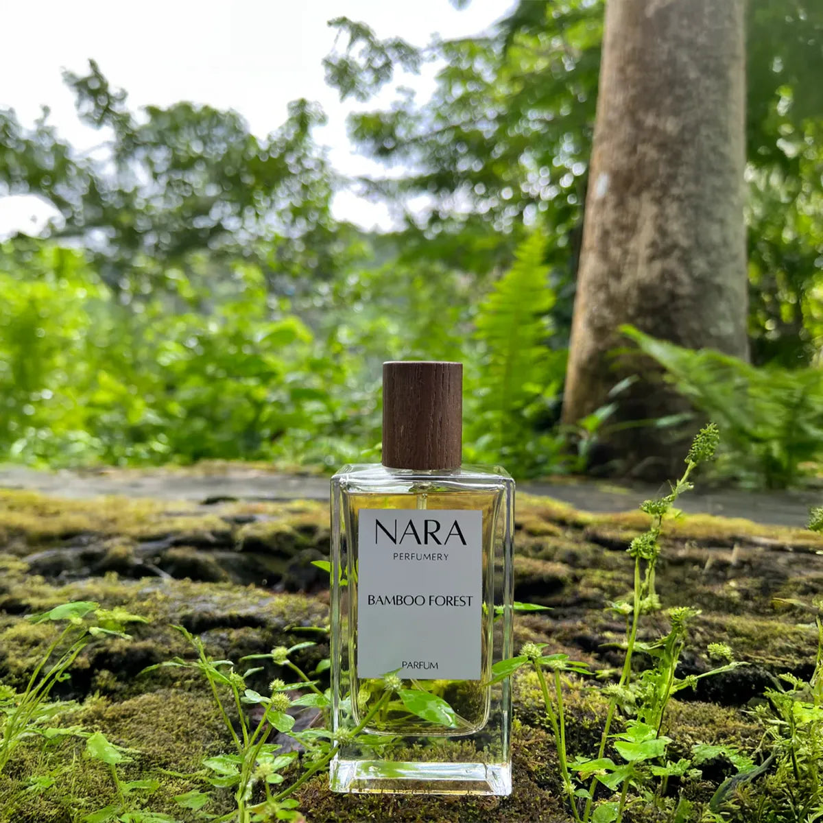 Nara Perfumery Bamboo Forest perfume bottle on a forest floor with trees and greenery in the background