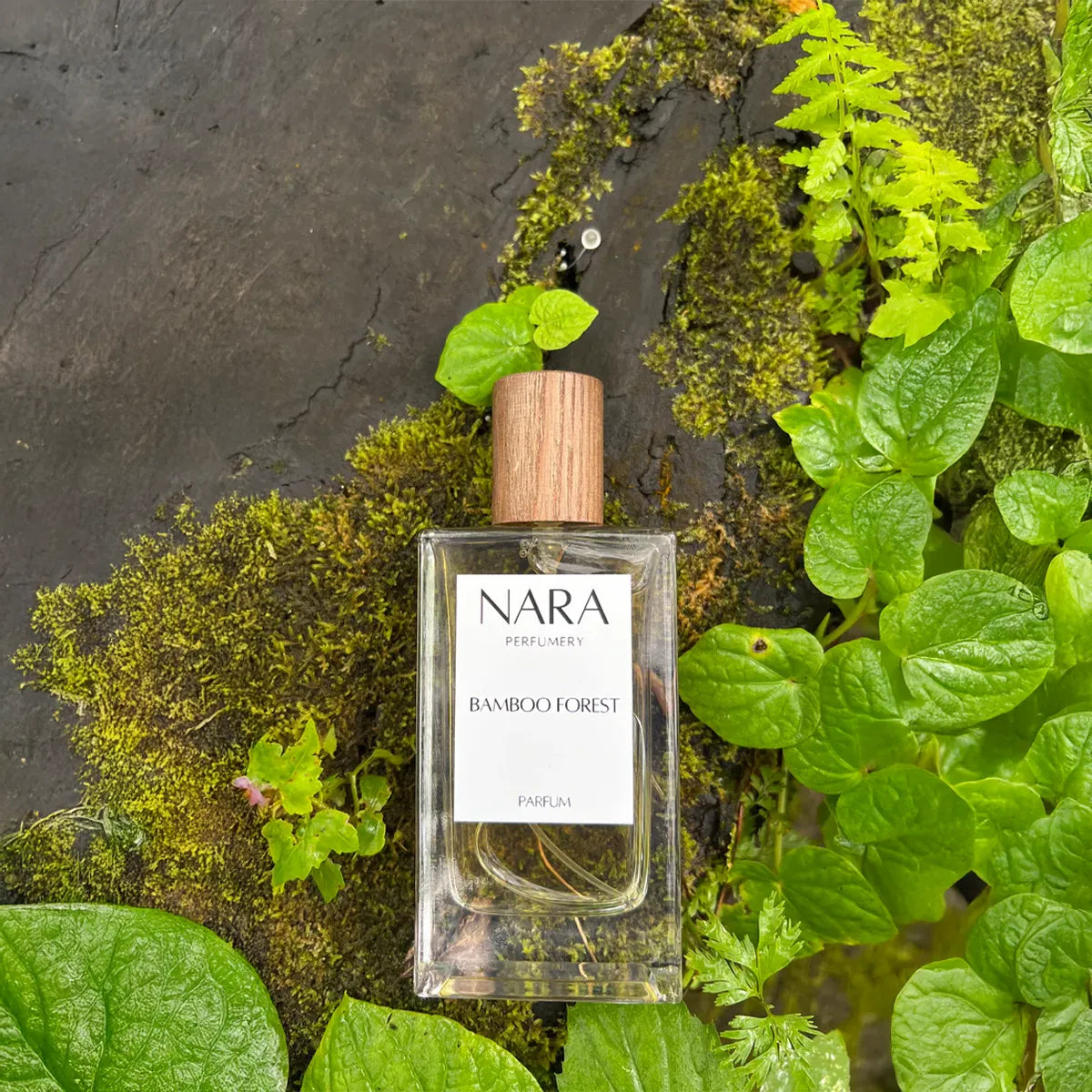 NARA Bamboo Forest perfume bottle surrounded by green leaves on a dark stone background