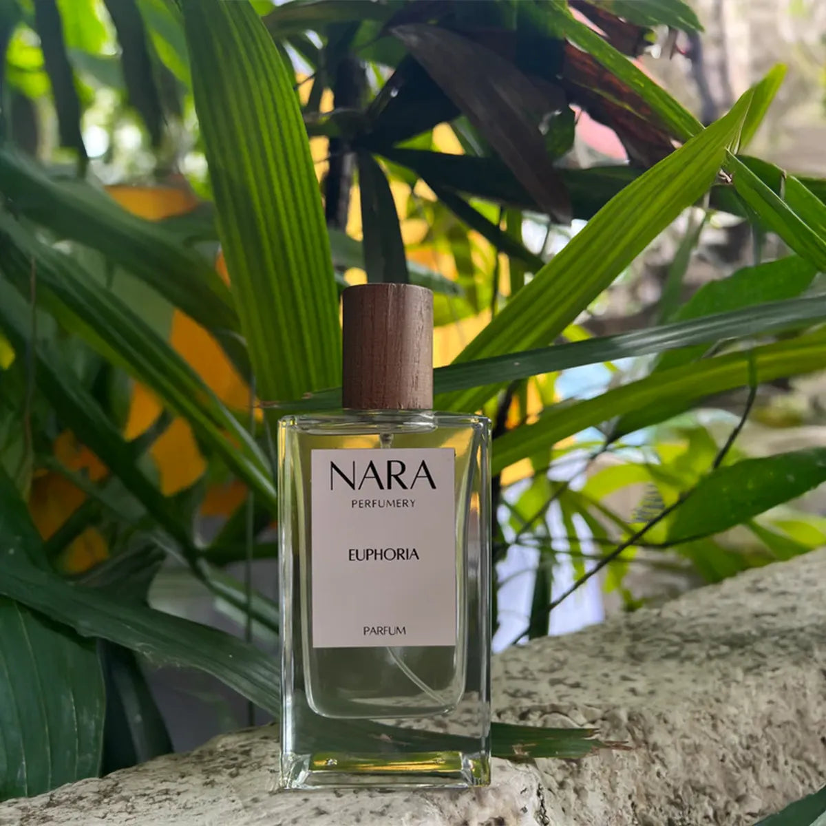 Nara Parfums Eliphoria perfume bottle on a stone surface with green leaves in the background