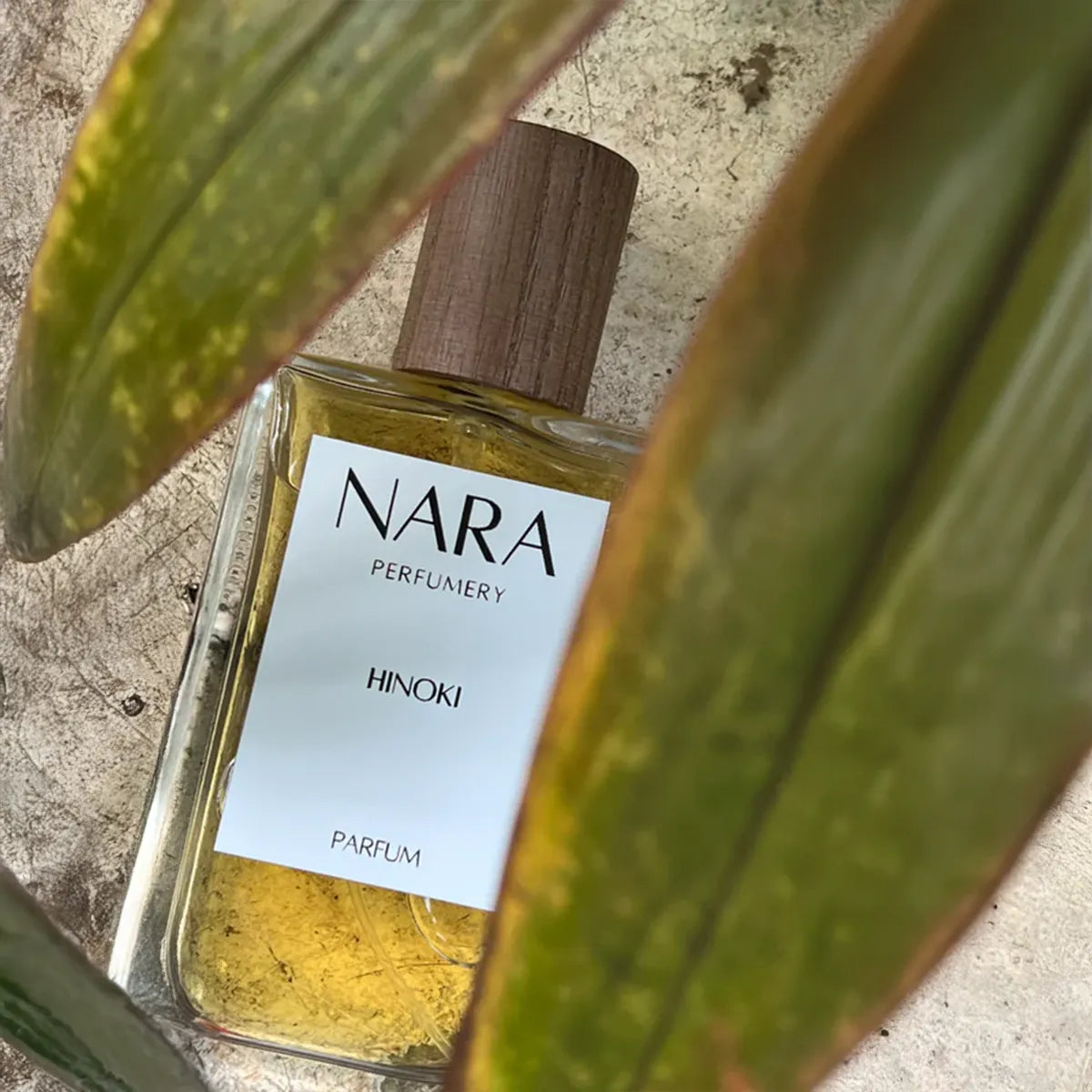 NARA Perfumery Hinoki perfume bottle with wooden cap on a textured surface with leaves.