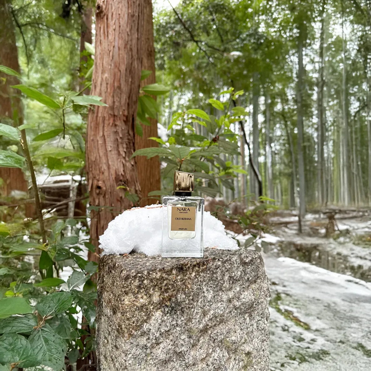 Natura perfume bottle on a stone pedestal in a forest setting