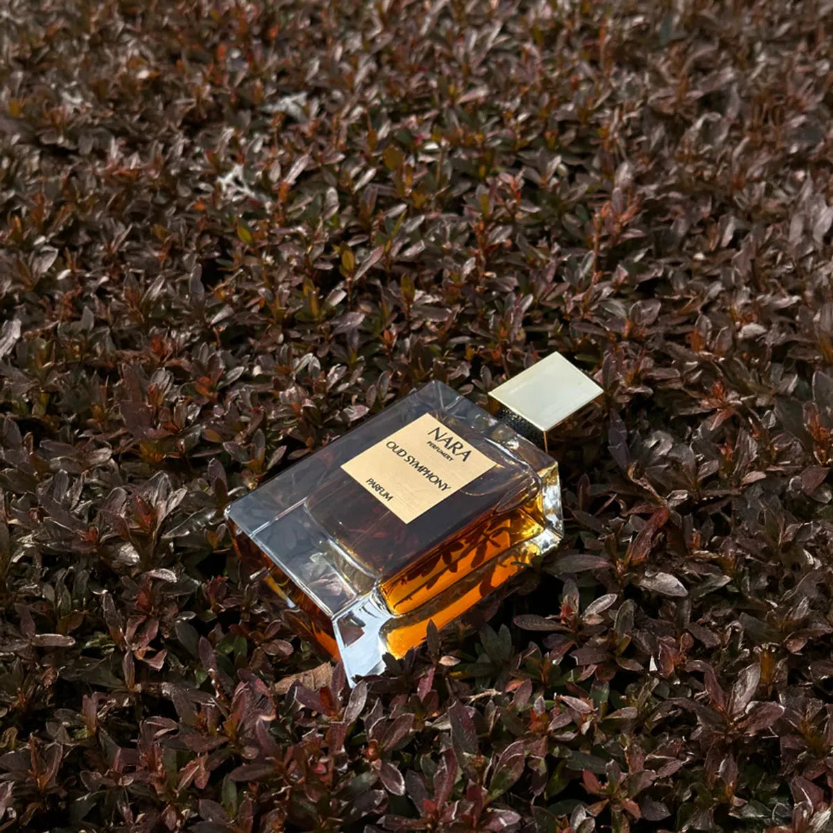 Perfume bottle on a textured surface