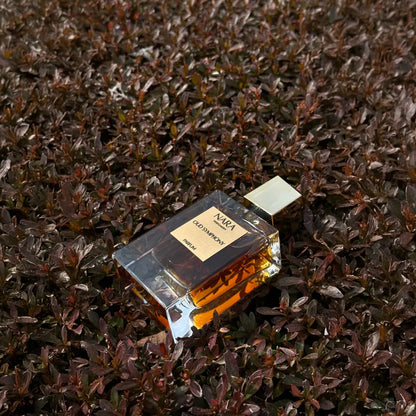 Perfume bottle on a textured surface