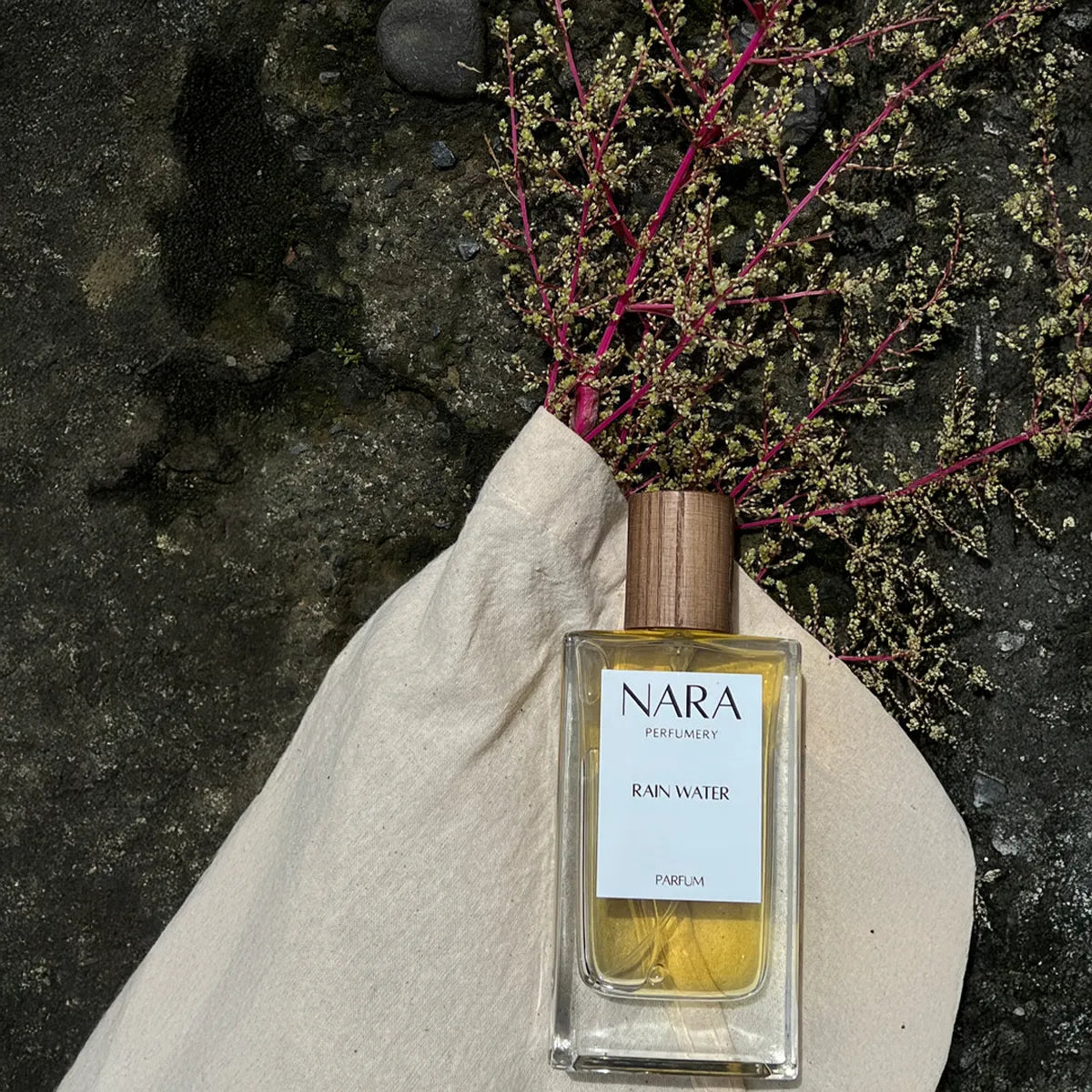 NARA Perfumes 'Rain Water' bottle on a stone surface with dried plants.