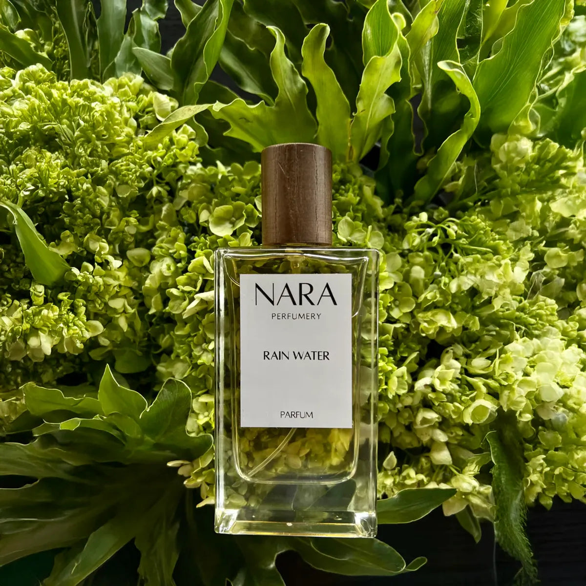 NARA Perfumery Rain Water perfume bottle surrounded by green foliage